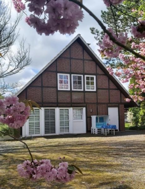 Appartement Jork Altes Land bei Hamburg direkt an der Elbe